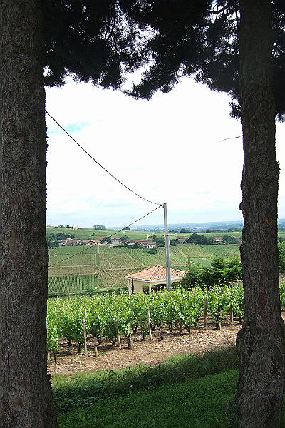 2010-06- (62).JPG